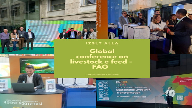 IZSLT alla Global Conference FAO: Hermetia illucens tra le proteine del futuro. IZSLT alla Global Conference FAO: Hermetia illucens tra le proteine del futuro.